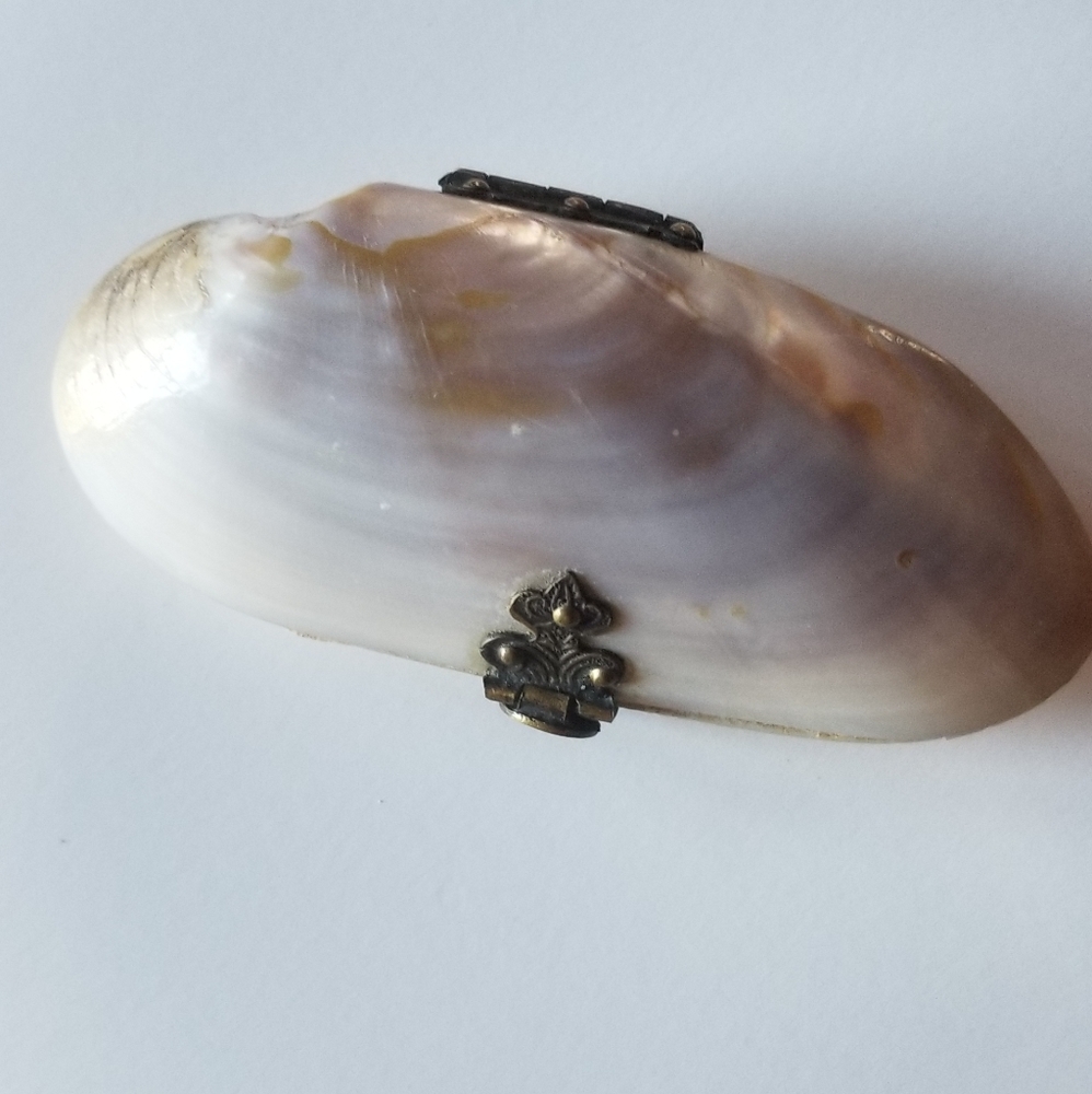 Antique Victorian Shell Purse